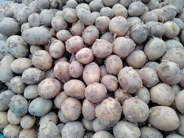 Kök sebzeler pancar, havuç, turp, tatlı patates ve şalgam içerir..