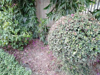 Çocuk parkı olan parkların resimleri, ücretsiz halka açık park resimleri, ücretsiz indirme