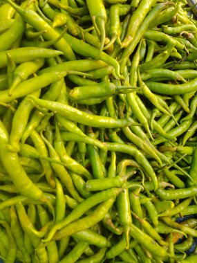 sebze isimleri, sebze isimleri, sebze ve meyve listesi, sebze türleri, sebze çizimi, meyve ve sebze isimleri, sebze yardımları, sebze tarifleri,