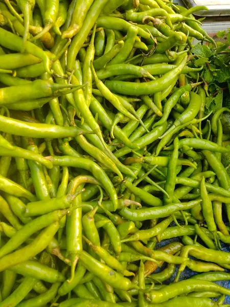 sebze isimleri, sebze isimleri, sebze ve meyve listesi, sebze türleri, sebze çizimi, meyve ve sebze isimleri, sebze yardımları, sebze tarifleri,