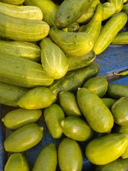 sebze isimleri, sebze isimleri, sebze ve meyve listesi, sebze türleri, sebze çizimi, meyve ve sebze isimleri, sebze yardımları, sebze tarifleri,