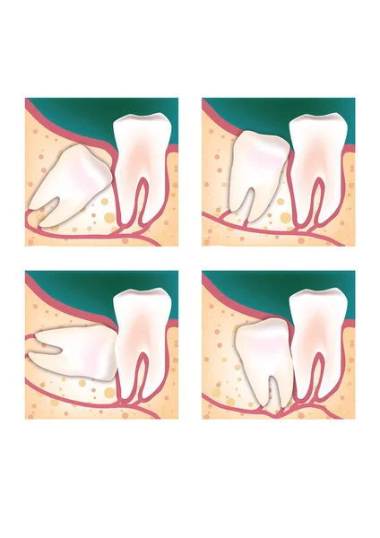 Renkli tıbbi biçim çizimi