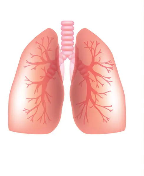 Renkli tıbbi biçim çizimi