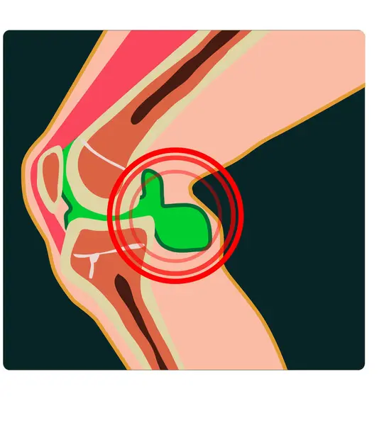 Renkli tıbbi çizimler, hastane dosyaları