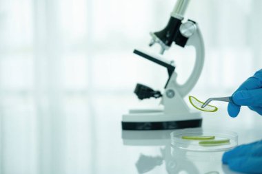 Tıbbi ya da bilimsel araştırmacı ya da insan doktoru laboratuarda bir test tüpü dolusu temiz çözeltiye bakıyor.