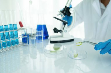 Tıbbi ya da bilimsel araştırmacı ya da insan doktoru laboratuarda bir test tüpü dolusu temiz çözeltiye bakıyor.