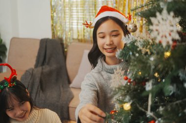 İki arkadaş evde Noel ağacı süsledi..