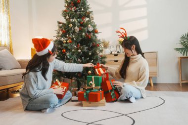 İki arkadaş evde Noel ağacı süsledi..