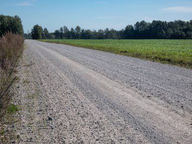 Yazın güneşli bir günde yeşil tarlalar arasında bir kır yolu manzarası. Kırsalda tozlu bir yol