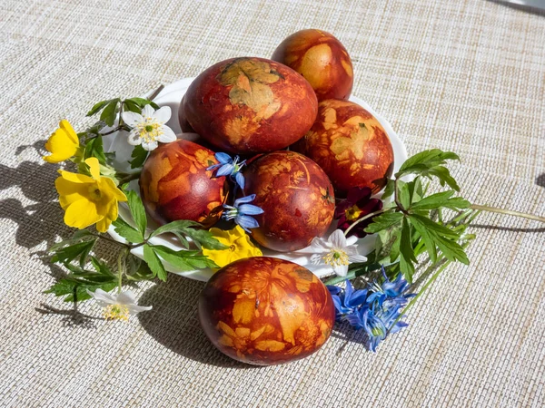 Macro Shot Easter Eggs Decorated Natural Plants Flower Blossoms Boiled — Stock Photo, Image