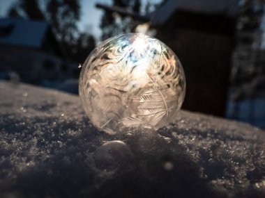Yuvarlak, donmuş sabun köpüğünün makro çekimi kışın çok soğuk sıcaklıklarda donarken ağaç ve yaprak şeklini oluşturur.