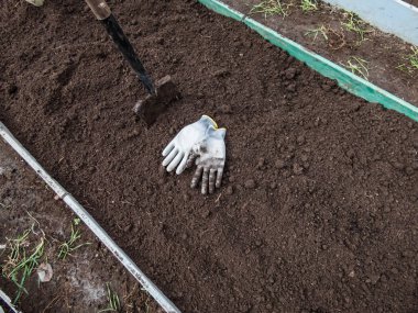 Baharın başlarında sebze ekmeye hazırlanan, ekili bahçe yatağı, kürek ve kirli eldivenli kahverengi toprağı kazıp çıkarmak. Bahçe konsepti
