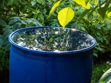 Mavi, plastik su varili yağmur suyu toplamak ve depolamak için yeniden kullanılıyor. Yaz boyunca çatıdan suyla dolu su ve su damlaları bitki örtüsüyle çevrili.