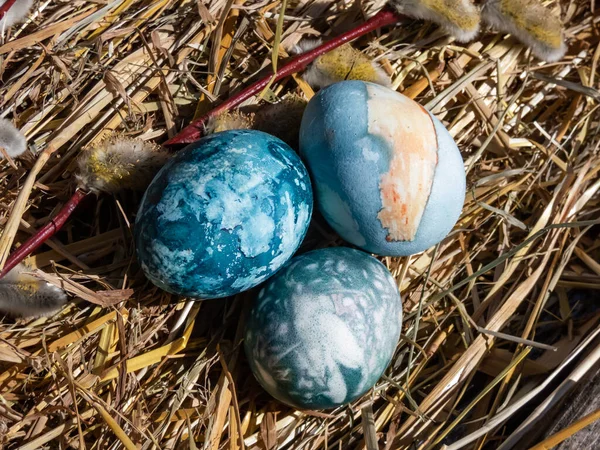 Ovos Easter Decorados Com Fábricas Naturais Flores Flor Ferveram Com — Fotografia de Stock