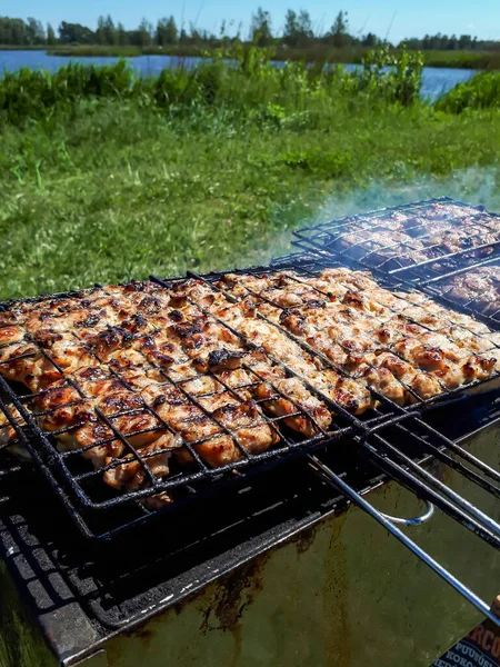 Mięso Metalowych Szaszłykach Soczysty Kurczak Grillujący Ogniu Węgle Dym Grillu — Zdjęcie stockowe