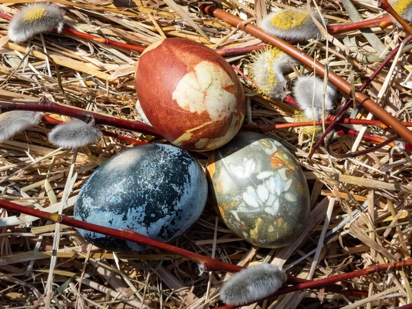 Природно Пофарбовані Великодні Яйця Прикрашені Рослинами Квітами Звареними Червоною Капустою — стокове фото