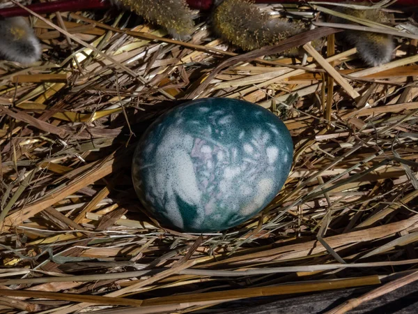 Пасхальні Яйця Прикрашені Натуральними Рослинами Квітами Звареними Червоною Капустою Які — стокове фото