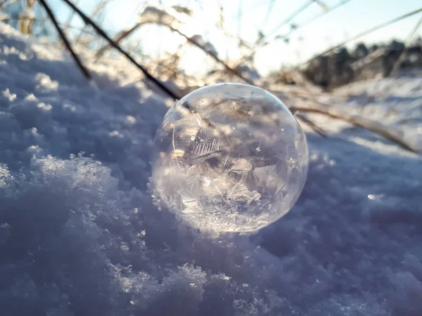 冬の寒さの中で凍るようなパターンのような美しい葉や木を形成する丸 凍結石鹸バブルのマクロショット — ストック写真