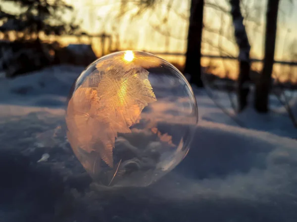Макрознімок Круглої Замороженої Мильної Бульбашки Утворює Красивий Лист Дерево Візерунок — стокове фото