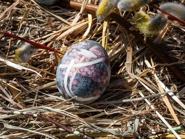 Пасхальні Яйця Прикрашені Натуральними Рослинами Квітами Звареними Гібіскусовим Чаєм Чорницею — стокове фото