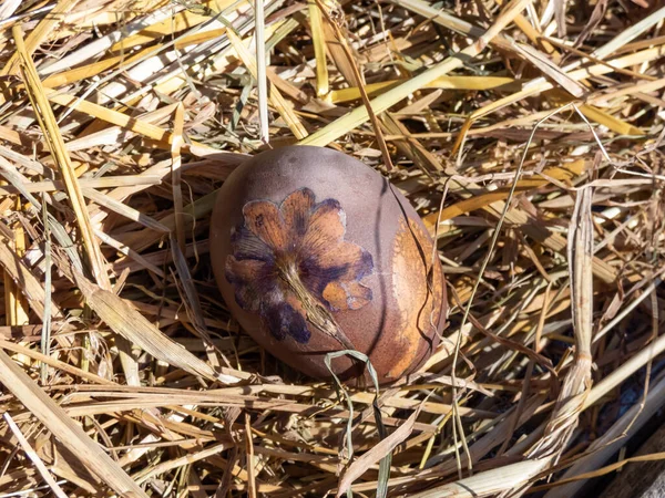 Пасхальні Яйця Прикрашені Натуральними Рослинами Квітами Звареними Гібіскусовим Чаєм Цибулею — стокове фото