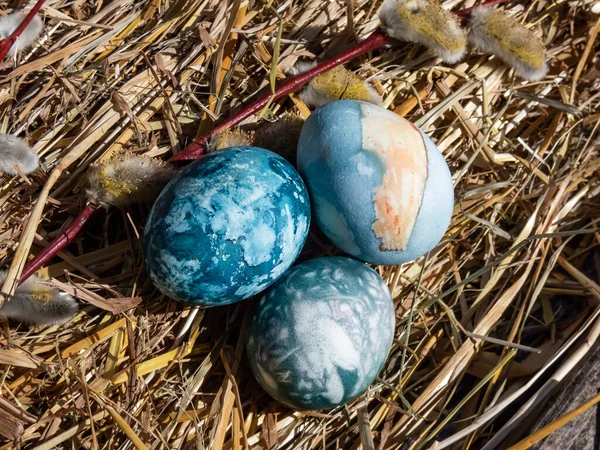 Ovos Easter Decorados Com Fábricas Naturais Flores Flor Ferveram Com — Fotografia de Stock