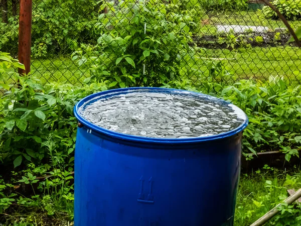 stock image Blue, plastic water barrel reused for collecting and storing rainwater for watering plants full with water and water dripping from the roof during summer day surrounded with vegetation