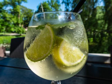 Yeşil nane yapraklı Coctail Mojito, beyaz rom, limon, soda ve buz. Güzel makro mojito kokteyl bardağı parlak güneş ışığıyla kaplı.