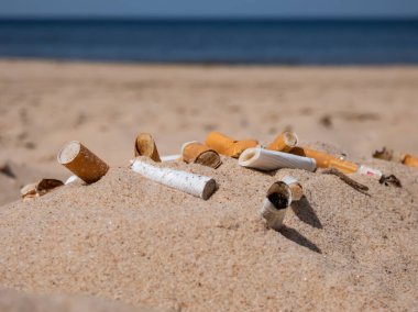 Different kinds of cigarette butts in the white sand on Baltic sea beach with water in background as toxic plastic pollution in the beach sand. Most littered plastic item in the world. Beach pollution