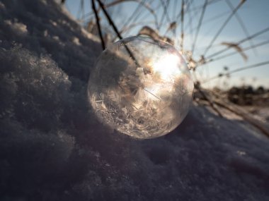 Yuvarlak, donmuş sabun köpüğünün makro çekimi kışın çok soğuk sıcaklıklarda donarken ağaç ve yaprak şeklini oluşturur.
