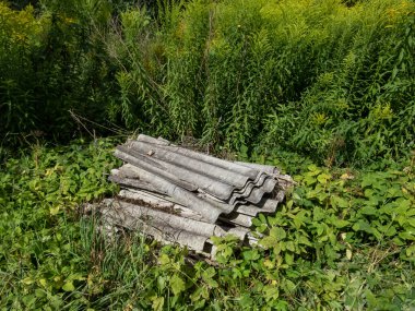 Eski eğri büğrü asbest içeren çatı malzemesi yığını. Tahtalar. Ciddi ve ölümcül hastalıklarla ilgili bir madde. Bitkilerle çevrili açık havada.