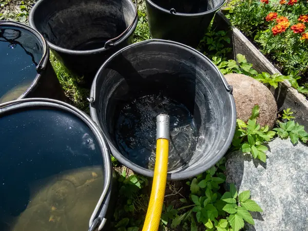 在夏天的炎热天气里 从花园里的塑料软管里倒出满满的水 看到空塑料桶的景象 图库图片