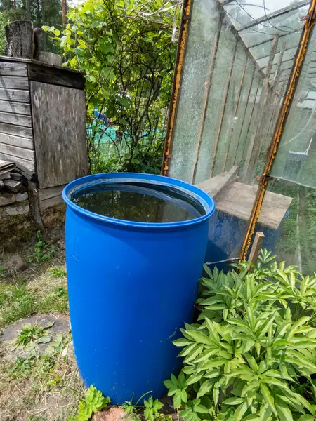 Blue, plastic water barrel reused for collecting and storing rainwater for watering plants full with water in garden in summer