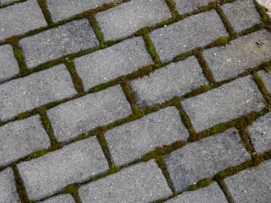 Tüm tuğlalar arasında yeşil yosun olan kaldırımın yakın görüntüsü. Yosun kaldırımda büyüyor. Doğada ve şehirde geometrik desen