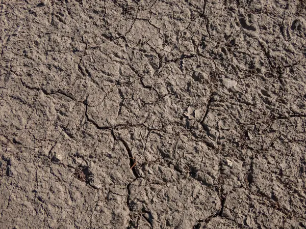 Sucha Popękana Gleba Gliniasta Ziemi Latem Podczas Upału Teksturowany Abstrakcyjny — Zdjęcie stockowe