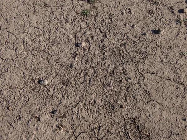 Trockene Rissige Lehmböden Auf Dem Boden Sommer Während Der Hitze — Stockfoto