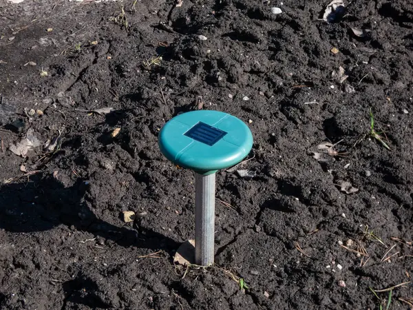 stock image Close-up of the ultrasonic, solar-powered mole repellent or repeller device in the soil in a vegetable bed in the garden. Device with beeping to keep out pests