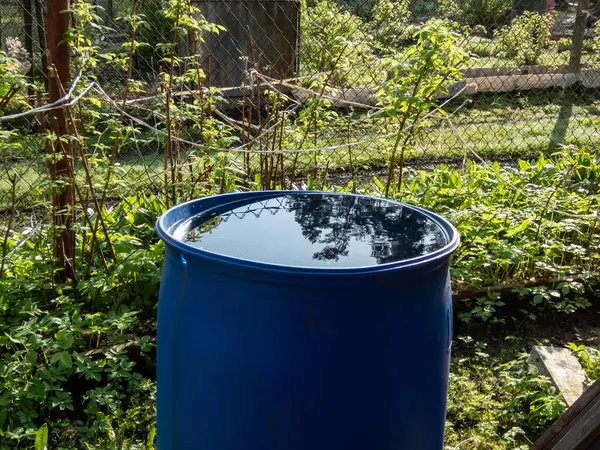 Stock image Blue, plastic water barrel reused for collecting and storing rainwater for watering plants full with water in summer day surrounded with vegetation