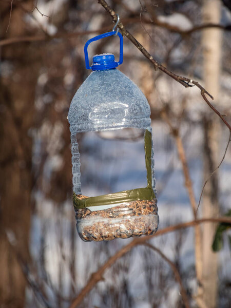 Bird feeder made from reused plastic bottle full with grains in winter. DIY plastic bird feeder bottle hanging in the tree