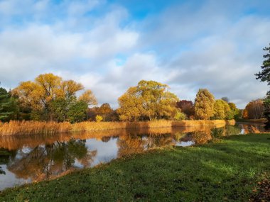 Sonbahar manzarası, büyük göl, mahmuz ağaçları, ağaçlar ve bitki örtüsü sarı, turuncu ve ılık tonlarda mavi gökyüzü ve beyaz bulutlarla dolu.