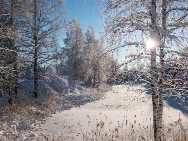 Güneşli bir günde yoğun bir kar yağışı sonrasında ormanın manzarası ve karla kaplı bir göl. Karlı kış masalı. Kış manzarası ve manzarası