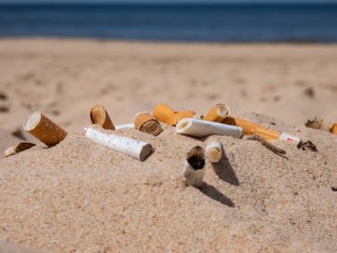 Baltık sahilindeki beyaz kumsalda farklı türde sigara izmaritleri ve arka planda kumsaldaki zehirli plastik kirliliği olarak su var. Dünyanın en dağınık plastik parçası. Plaj kirliliği
