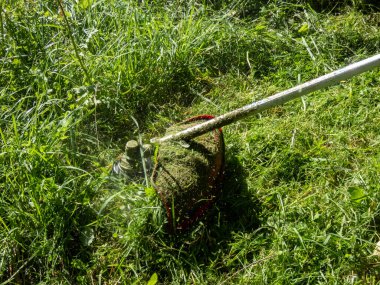 Yazın uzun, yeşil çimenleri biçmek için kullanılan tel budayıcının görüntüsü. Bahçe bakımı