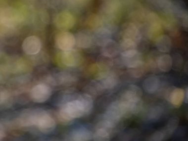 Bokeh etkisi ve kasıtlı olarak güneş ışığının bulanık görünümü. Bulanık arkaplan ve güzel doğa tonlarında fotografik bokeh etkisi
