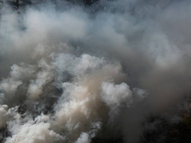 Islak dallar ve çimenler yüzünden kalın, beyaz bir duman.
