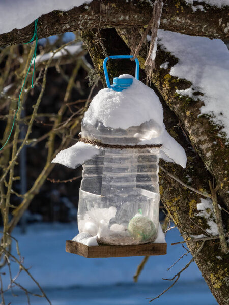 Bird feeder made from reused big, plastic bottle full with grains and fatball hanging in a tree covered with snow in winter