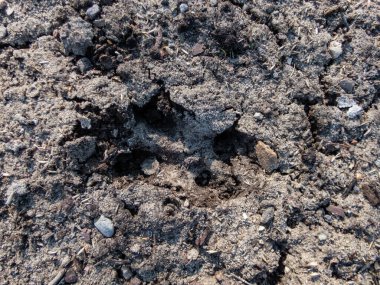 Yerdeki derin ve ıslak çamurun içinde bir 