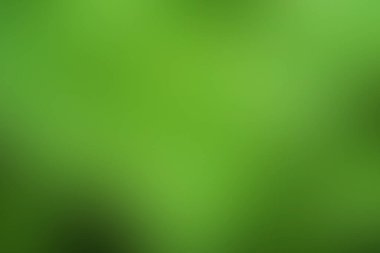 Yeşil arka plan, doğa yaprağı, taze yeşil yapraklar. yeşil arkaplan, tasarım için yeşil yapraklar.