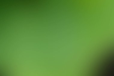 yeşil soyut arkaplan. yeşil eğimli bulanık arkaplan. vektör illüstrasyonu