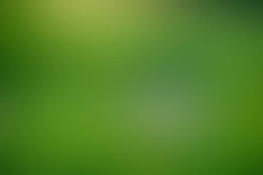 Web sayfası ve grafik tasarımı için bulanık yeşil arkaplan dokusu